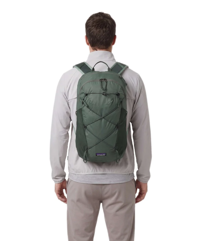 Patagonia Terravia 14 M Rucksack canopy green