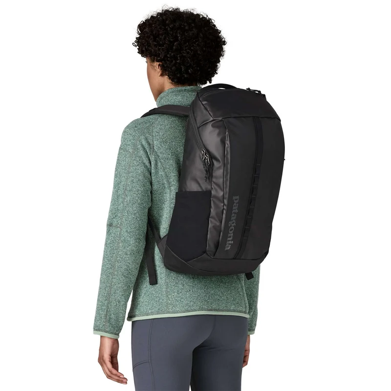 Patagonia Black Hole 25 Rucksack sastrugi/summit blue