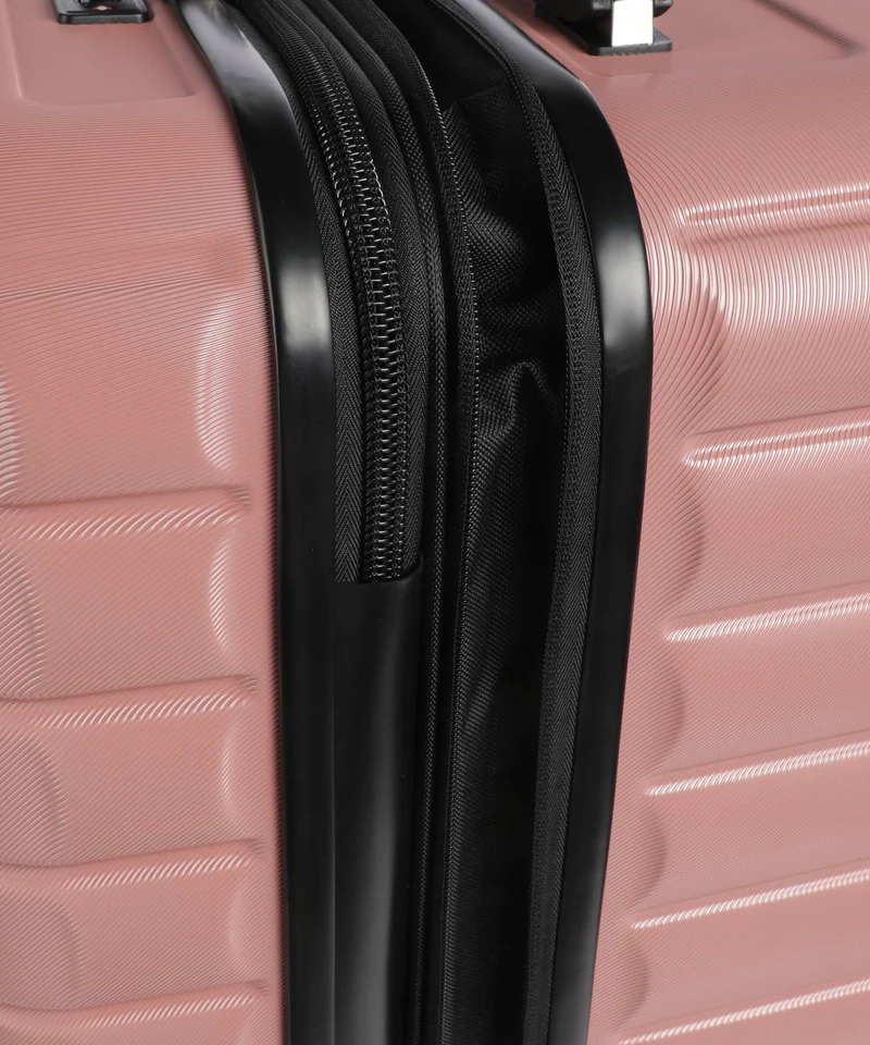 Delsey Paris Shadow 5.0 4-Rollen Trolley ash rose