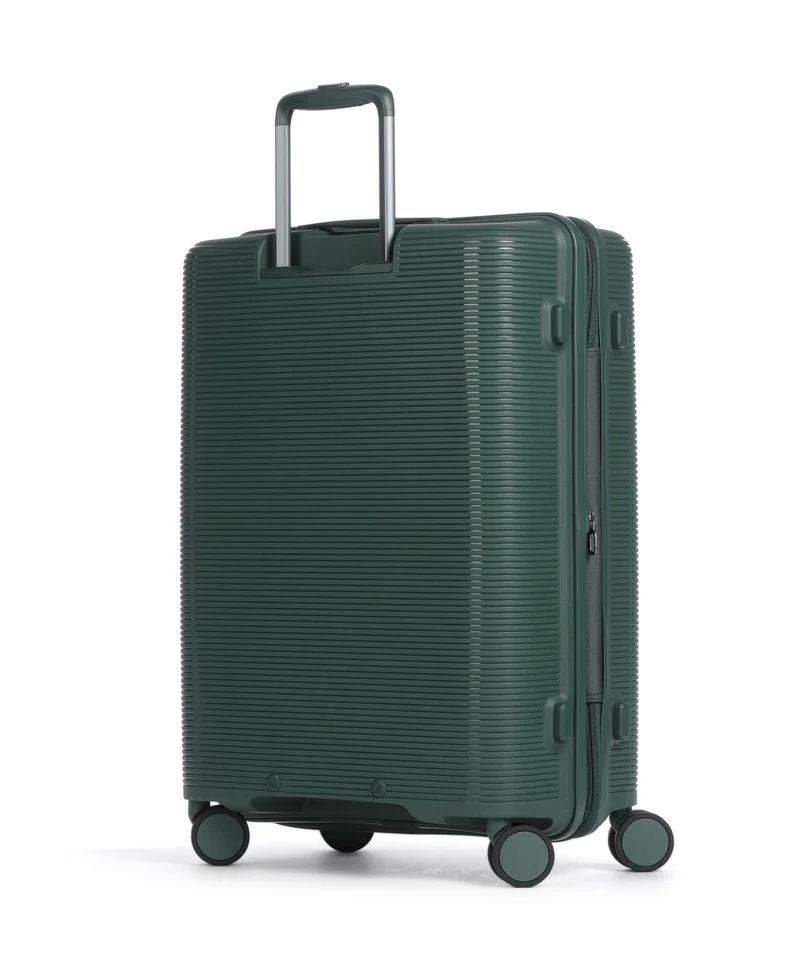Echolac Forza M 4-Rollen Trolley pine green