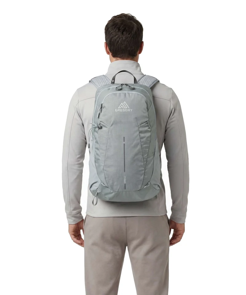 Gregory Arrio 20 RC Wanderrucksack sage grey