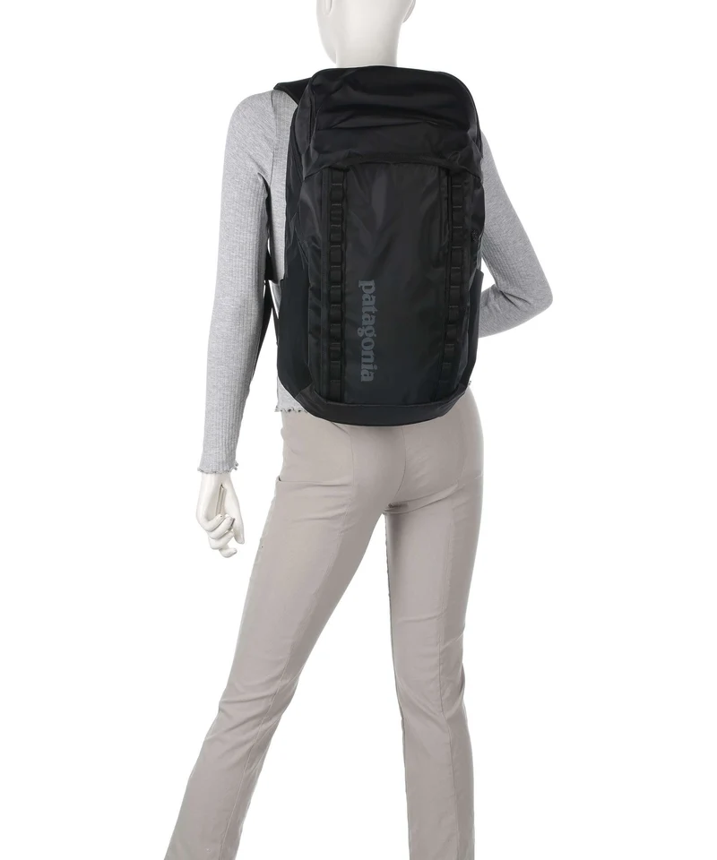 Patagonia Black Hole 32 Rucksack birch white