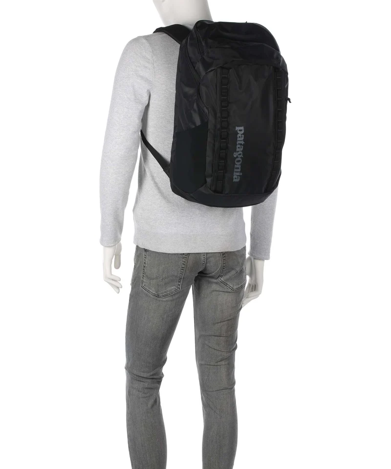 Patagonia Black Hole 32 Rucksack birch white