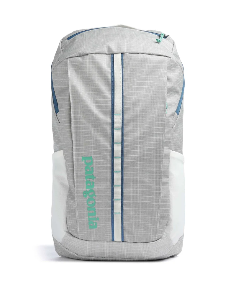 Patagonia Black Hole 25 Rucksack birch white