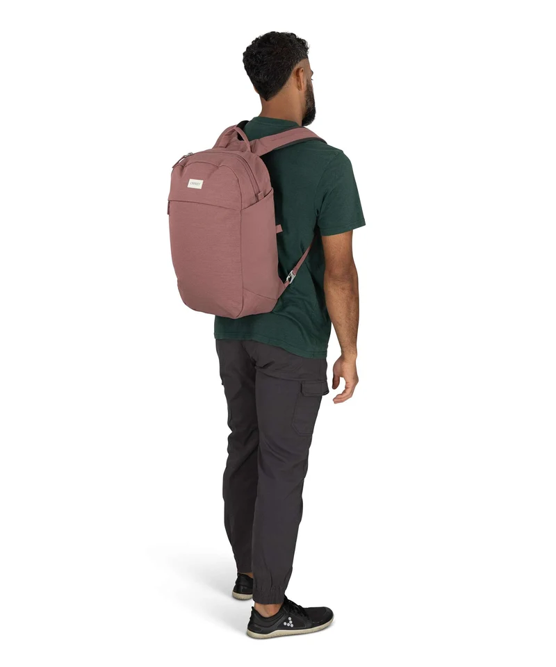 Osprey Arcane Large Rucksack purple garnet heather