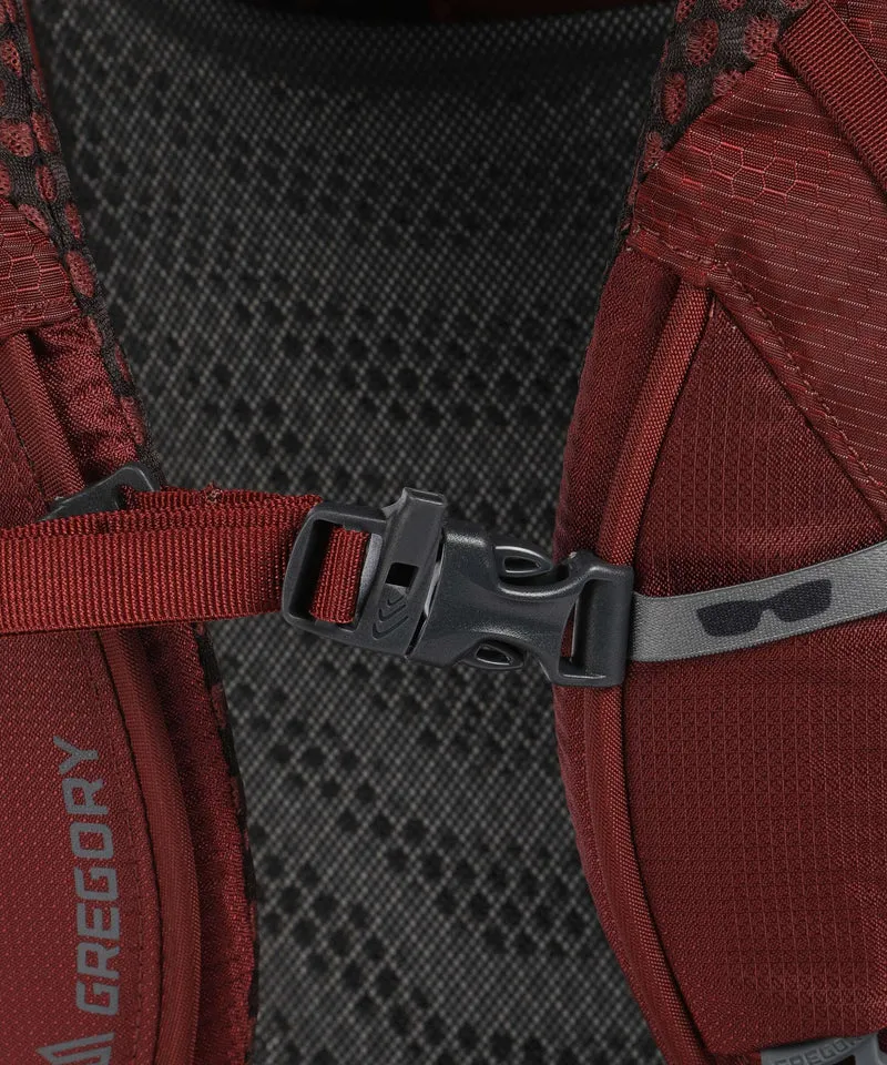 Gregory Baltoro 65 RC LG Trekkingrucksack brick red