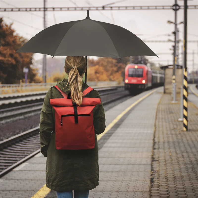 Rolltop Laptop Backpack with Padded Back