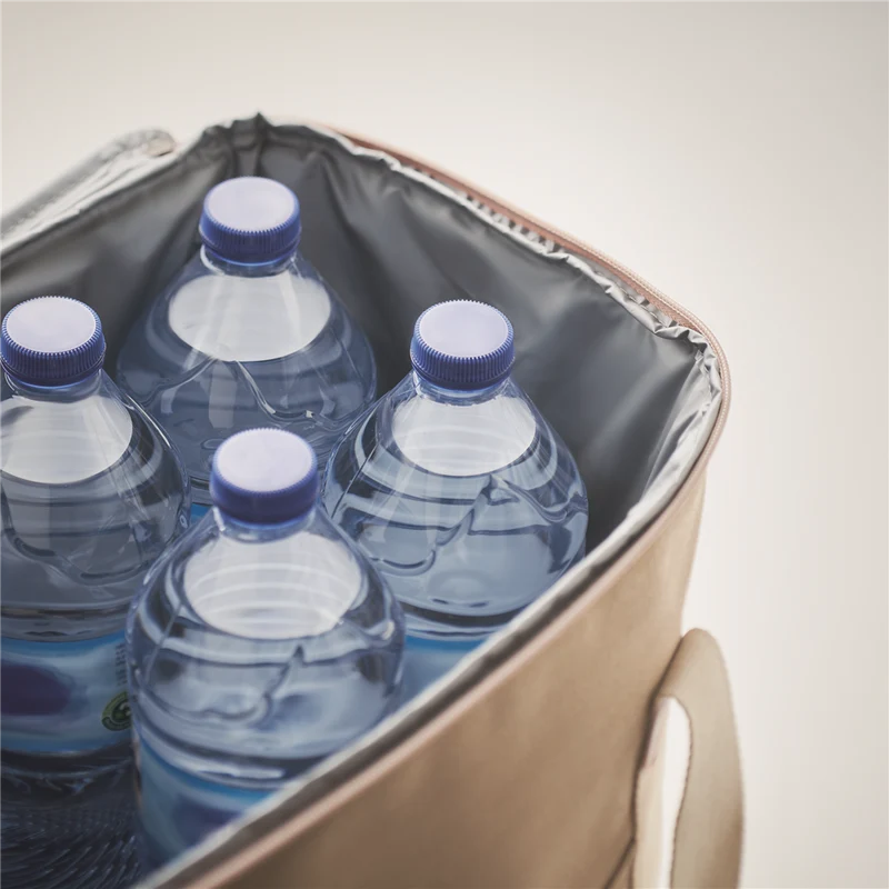 Large Cooler Bag in Canvas
