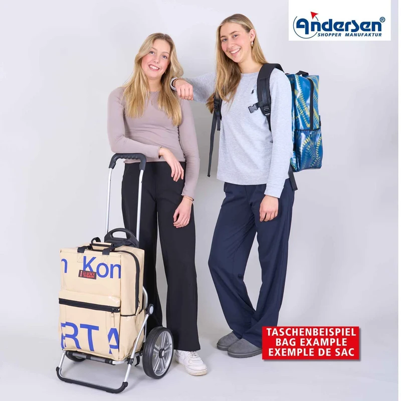 Royal Shopper Truck A8, Kugellagerrad 25 cm