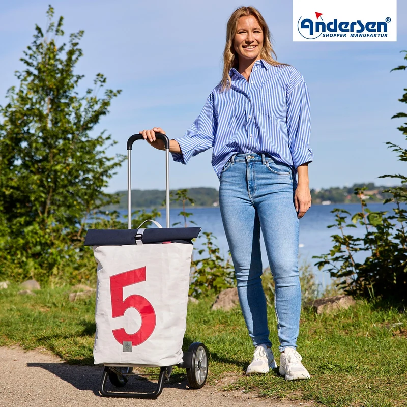 Alu Star Shopper 360° Steg - 5
