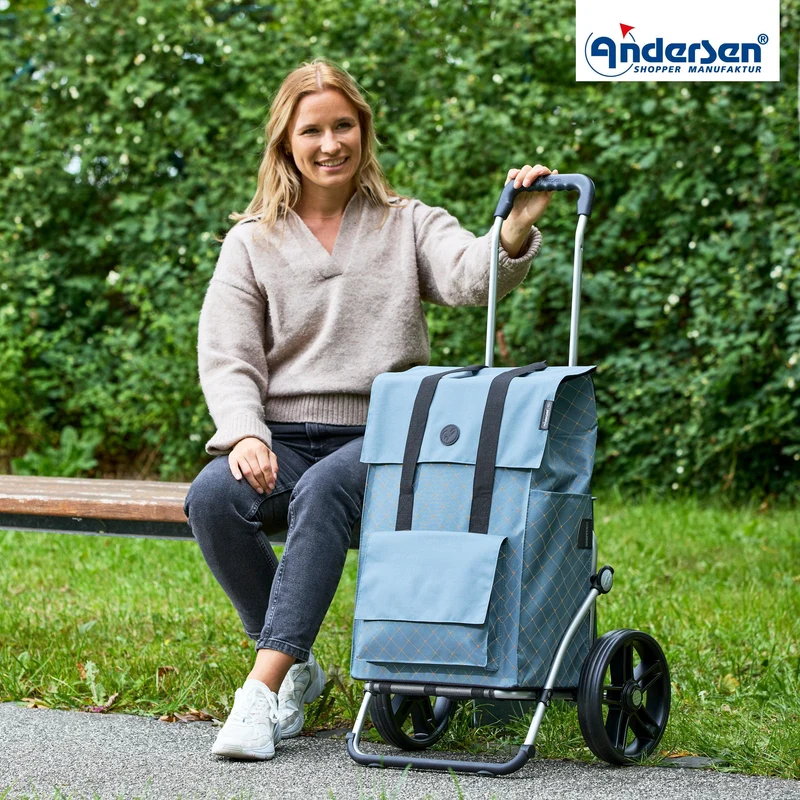 Royal Shopper Lisa, Leichtlaufrad 25 cm - Blau