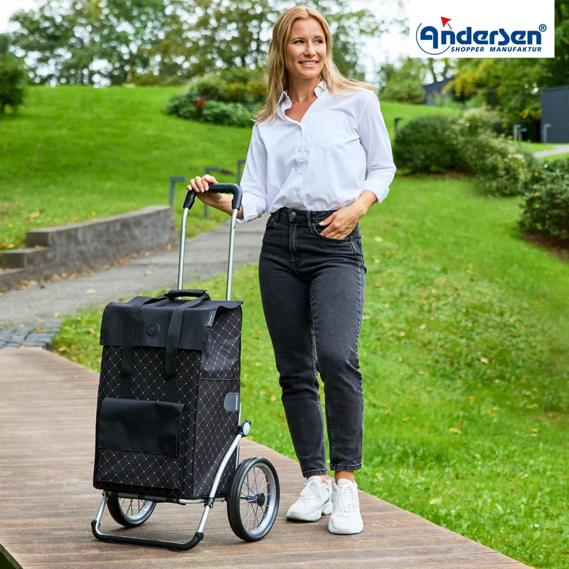 Royal Shopper Lisa, Metallspeichenrad 25 cm - Schwarz