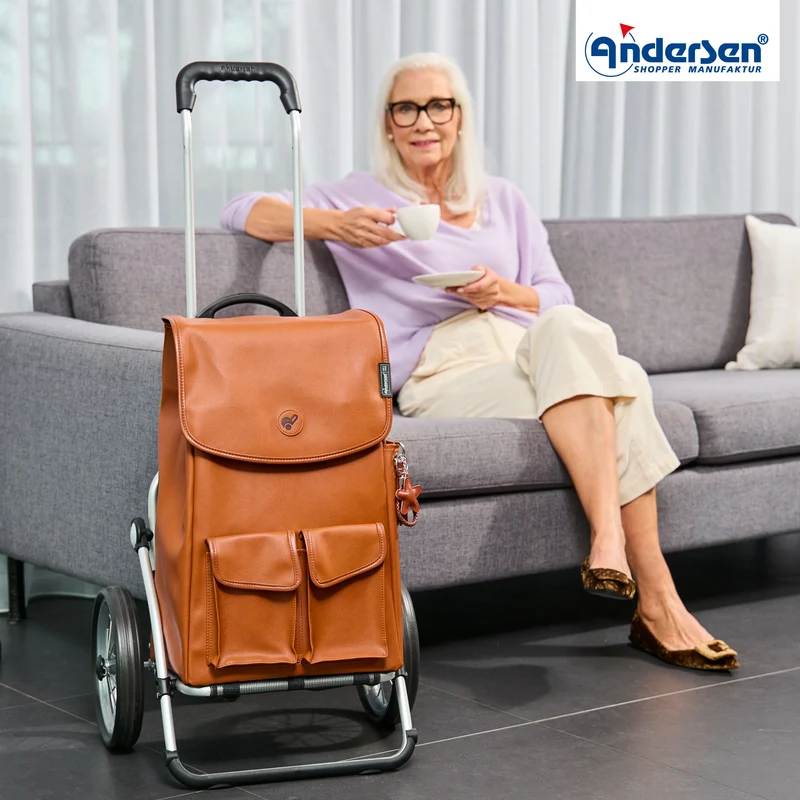 Royal Shopper Abbo, Metallspeichenrad 25 cm - Braun