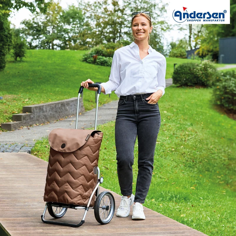Royal Shopper Hilma, Metallspeichenrad 25 cm - Mousse