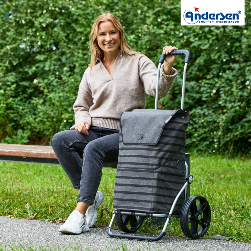 Royal Shopper Jelke, Leichtlaufrad 25 cm - Anthrazit