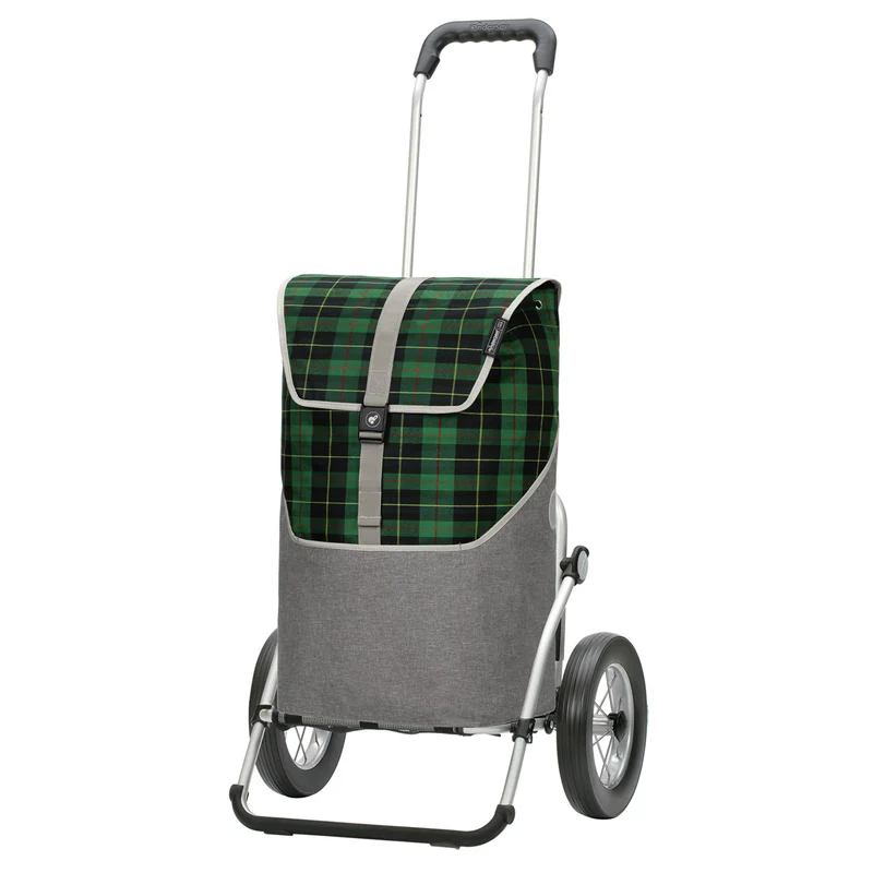 Royal Shopper Gese, Metallspeichenrad 25 cm - Grün