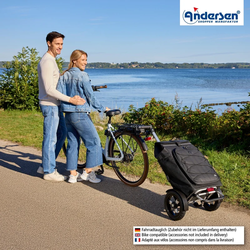 Tura Shopper Fado 3.0, Luft-Kugellagerrad 29 cm - Schwarz