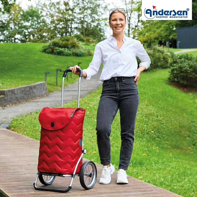 Royal Shopper Hilma, Metallspeichenrad 25 cm - Rot