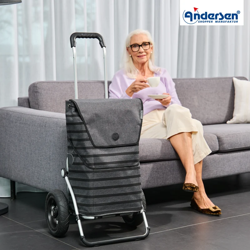 Royal Shopper Jelke, Luft-Kugellagerrad 25 cm - Anthrazit