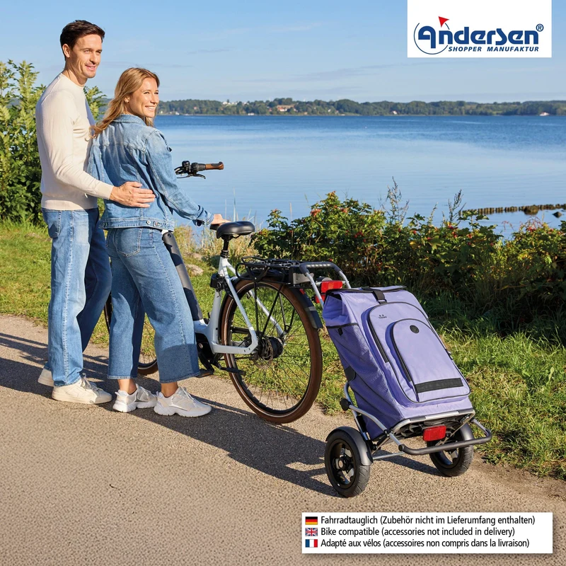 Royal Shopper Plus Hydro 3.0, Luft-Kugellagerrad 25 cm - Flieder