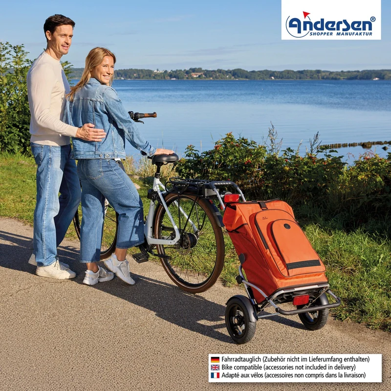 Royal Shopper Plus Hydro 3.0, Luft-Kugellagerrad 25 cm - Orange