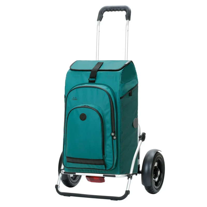 Royal Shopper Plus Hydro 3.0, Luft-Kugellagerrad 25 cm - Petrol