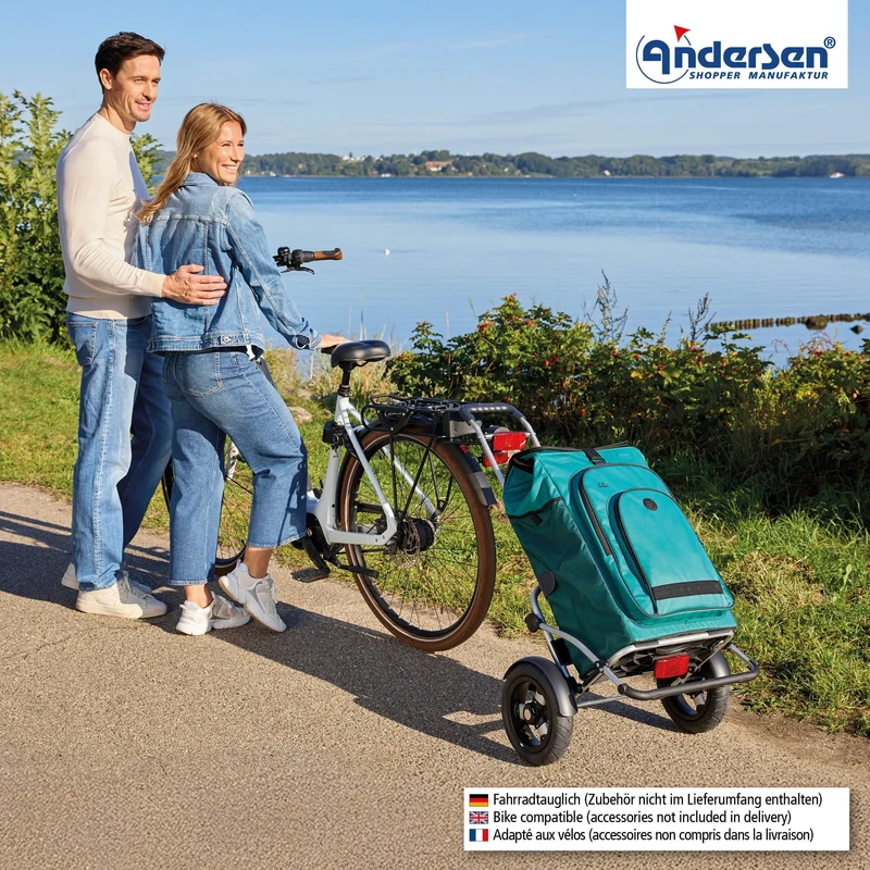 Royal Shopper Plus Hydro 3.0, Luft-Kugellagerrad 25 cm - Petrol