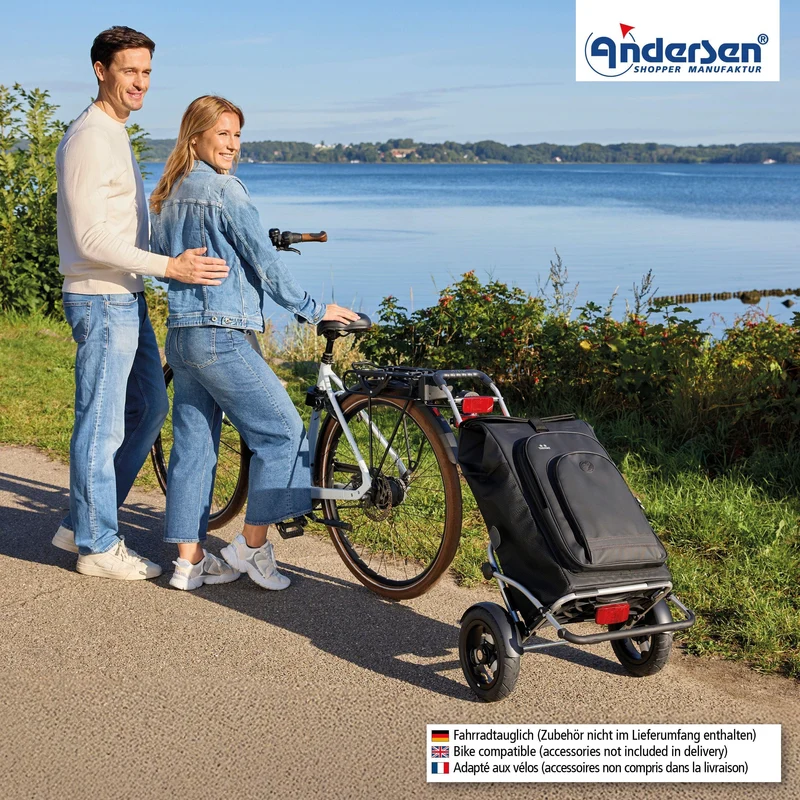 Royal Shopper Plus Hydro 3.0, Luft-Kugellagerrad 25 cm - Schwarz