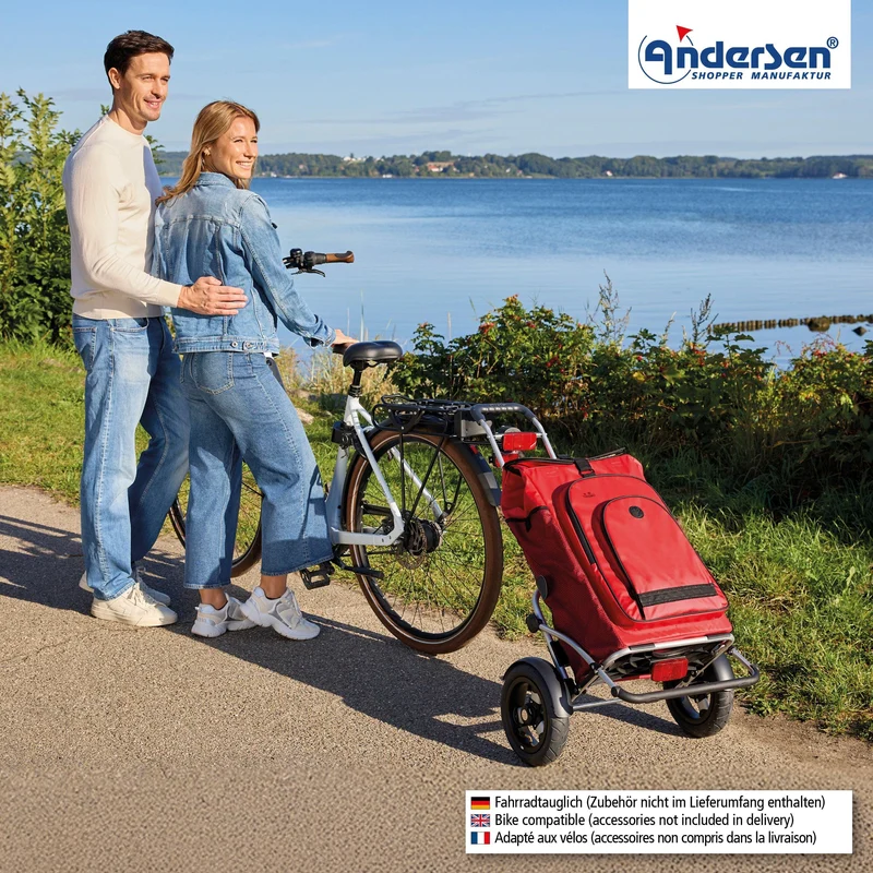 Royal Shopper Plus Hydro 3.0, Luft-Kugellagerrad 25 cm - Rot