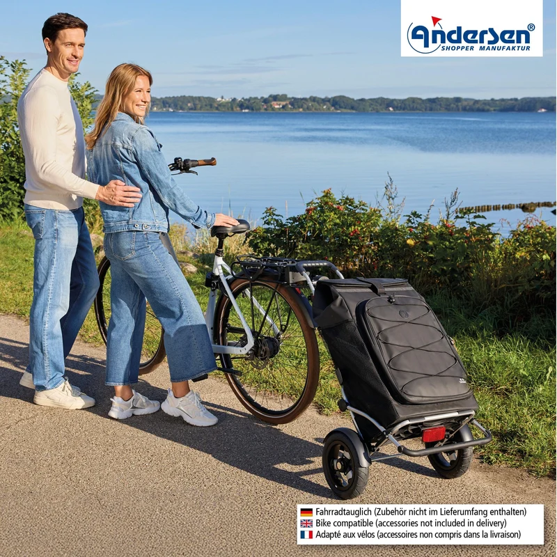 Royal Shopper Plus Fado 3.0, Luft-Kugellagerrad 25 cm - Schwarz