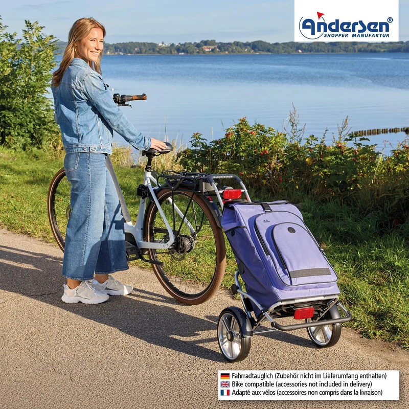 Royal Shopper Plus Hydro 3.0, Kugellagerrad 25 cm - Flieder