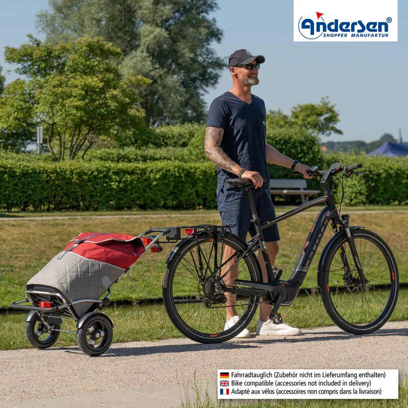 Royal Shopper Plus Lasse, Luft-Kugellagerrad 25 cm - Rot