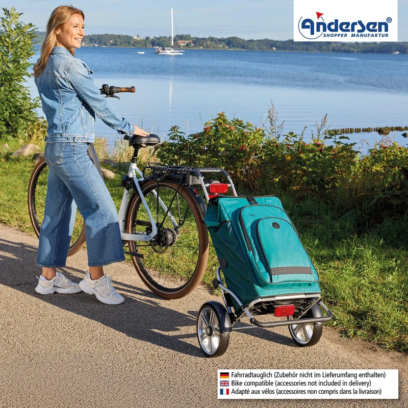 Royal Shopper Plus Hydro 3.0, Kugellagerrad 25 cm - Petrol