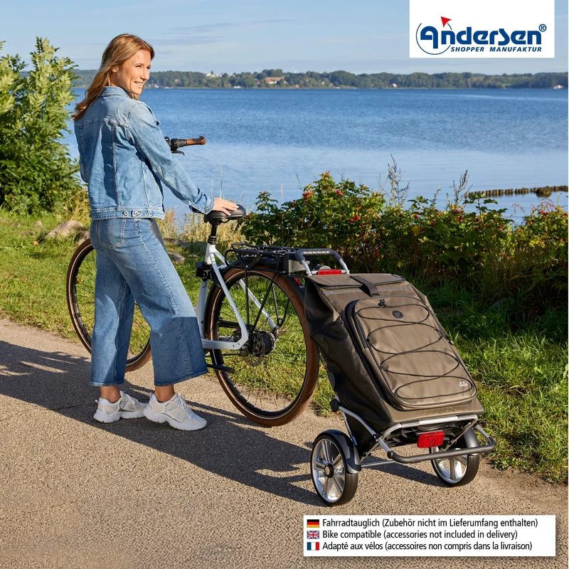 Royal Shopper Plus Fado 3.0, Kugellagerrad 25 cm - Oliv