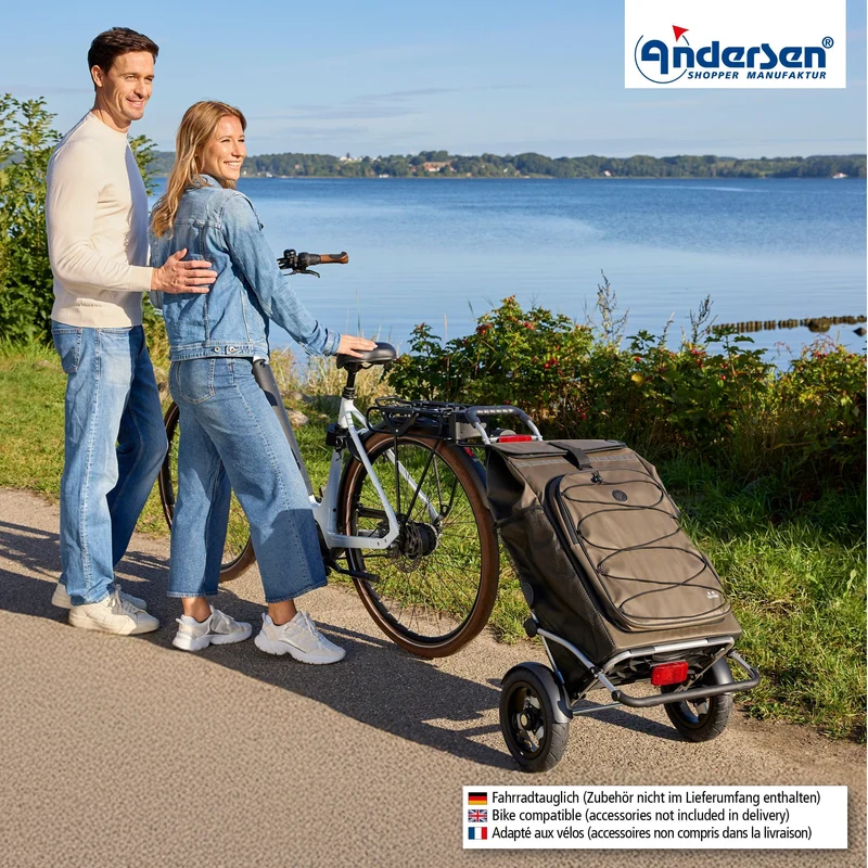 Royal Shopper Plus Fado 3.0, Luft-Kugellagerrad 25 cm - Oliv