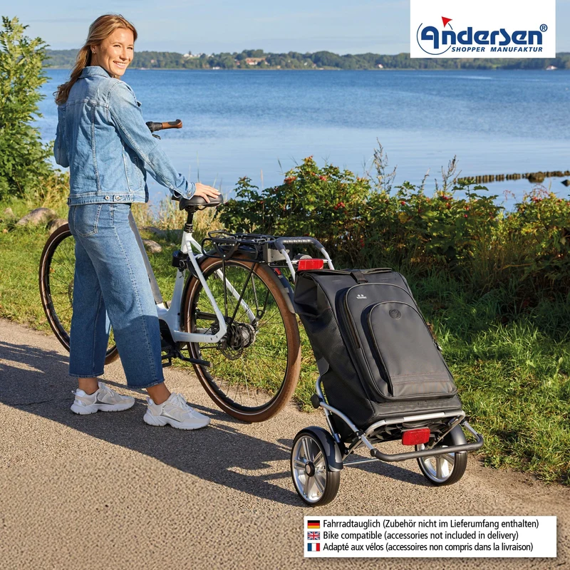 Royal Shopper Plus Hydro 3.0, Kugellagerrad 25 cm - Schwarz