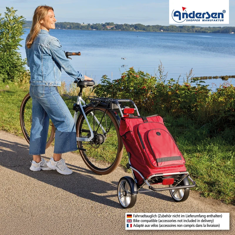 Royal Shopper Plus Hydro 3.0, Kugellagerrad 25 cm - Rot