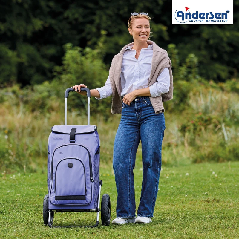Royal Shopper Hydro 3.0, Luft-Kugellagerrad 25 cm - Flieder