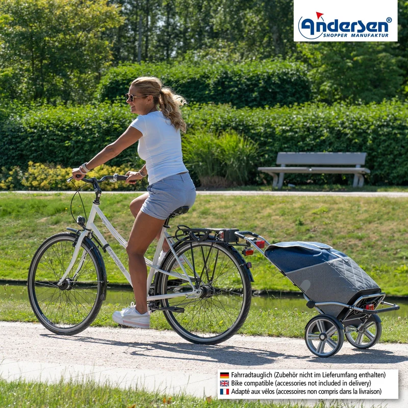 Royal Shopper Plus Lasse, Kugellagerrad 25 cm - Blau
