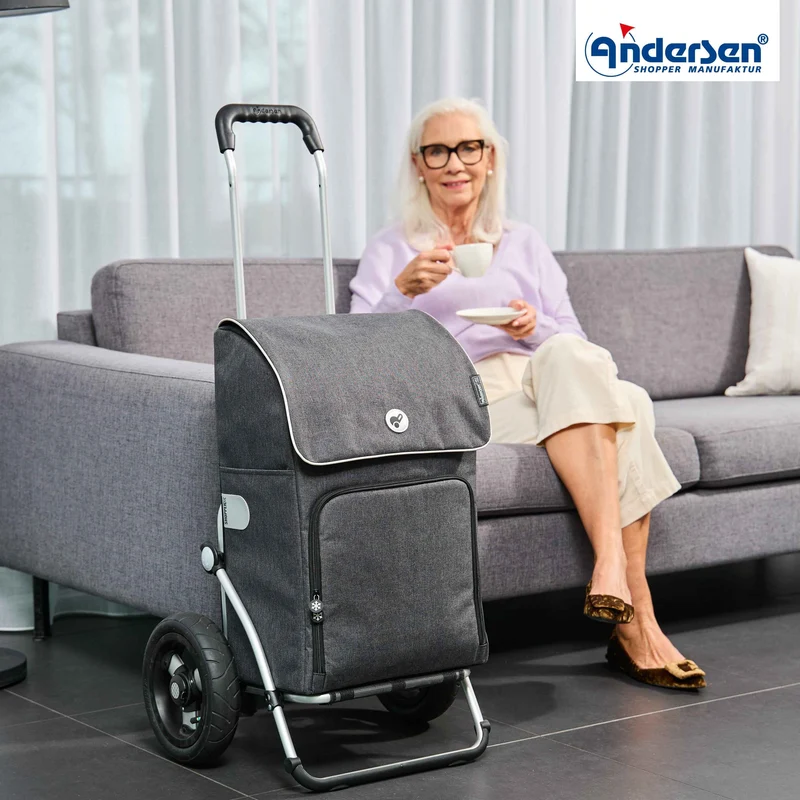 Royal Shopper Ipek Maxi, Luft-Kugellagerrad 25 cm - Anthrazit