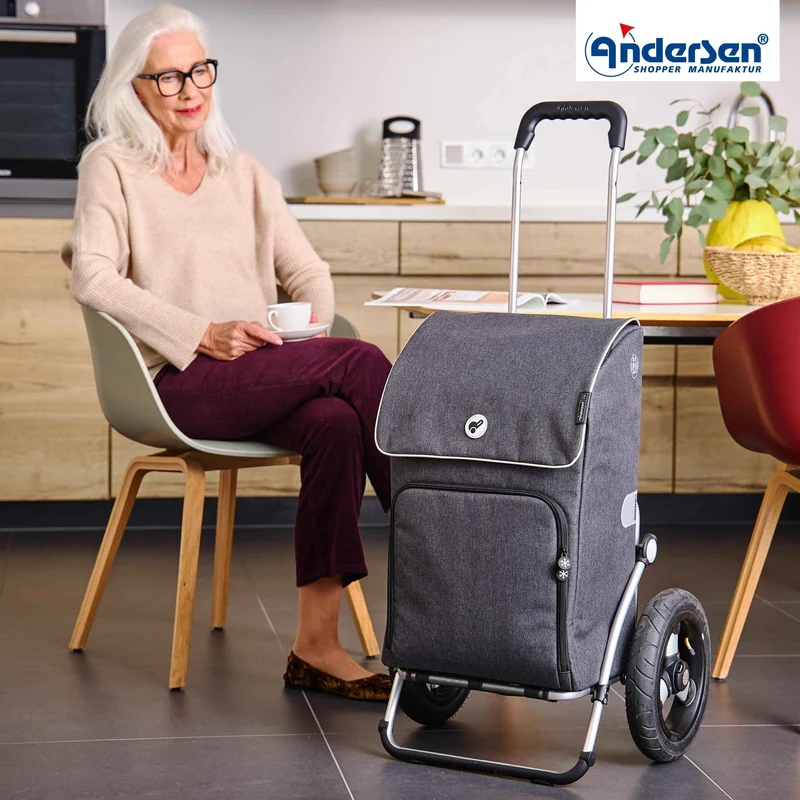 Royal Shopper Ipek Maxi, Luft-Kugellagerrad 29 cm - Anthrazit