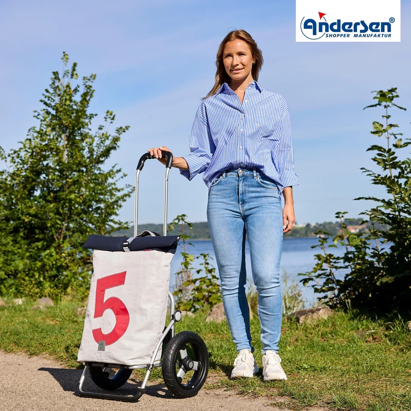 Royal Shopper 360° Steg, Luft-Kugellagerrad 29 cm - 5
