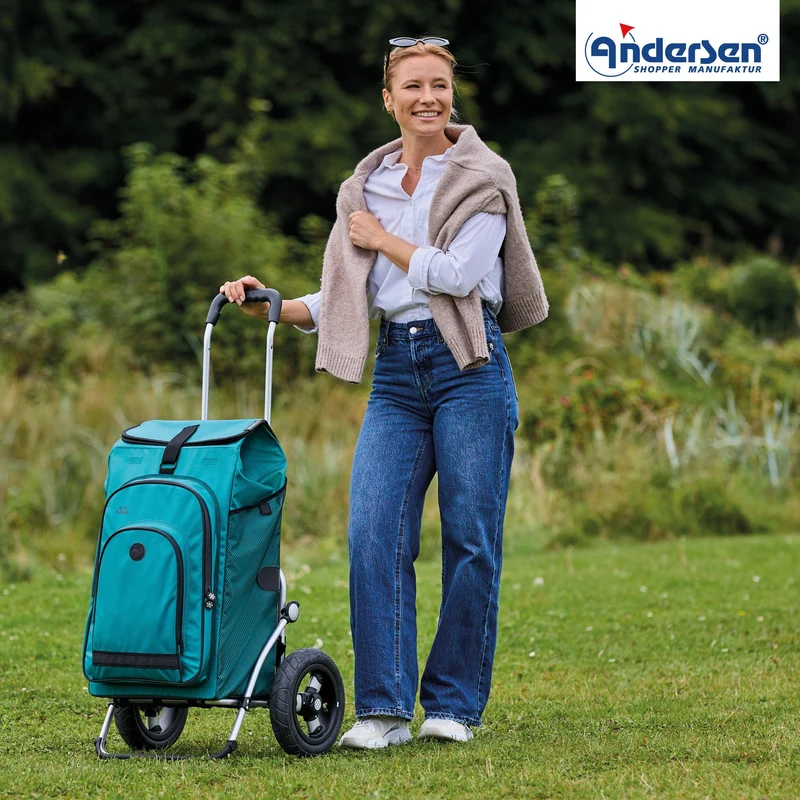Royal Shopper Hydro 3.0, Luft-Kugellagerrad 25 cm - Petrol