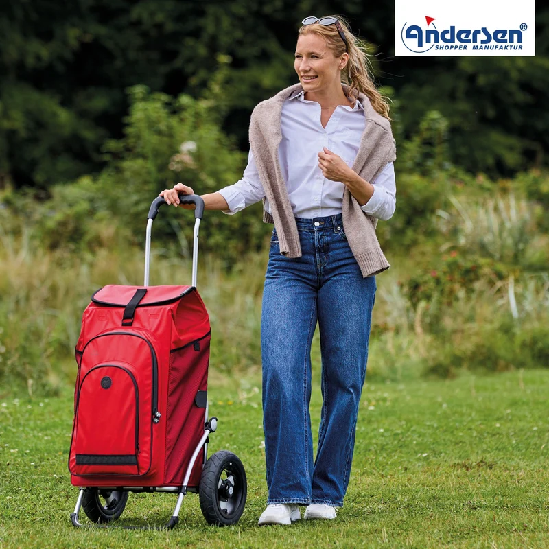 Royal Shopper Hydro 3.0, Luft-Kugellagerrad 25 cm - Rot
