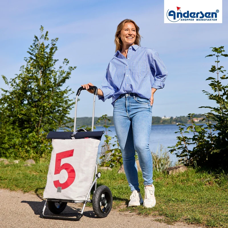 Royal Shopper 360° Steg, Luft-Kugellagerrad 25 cm - 5