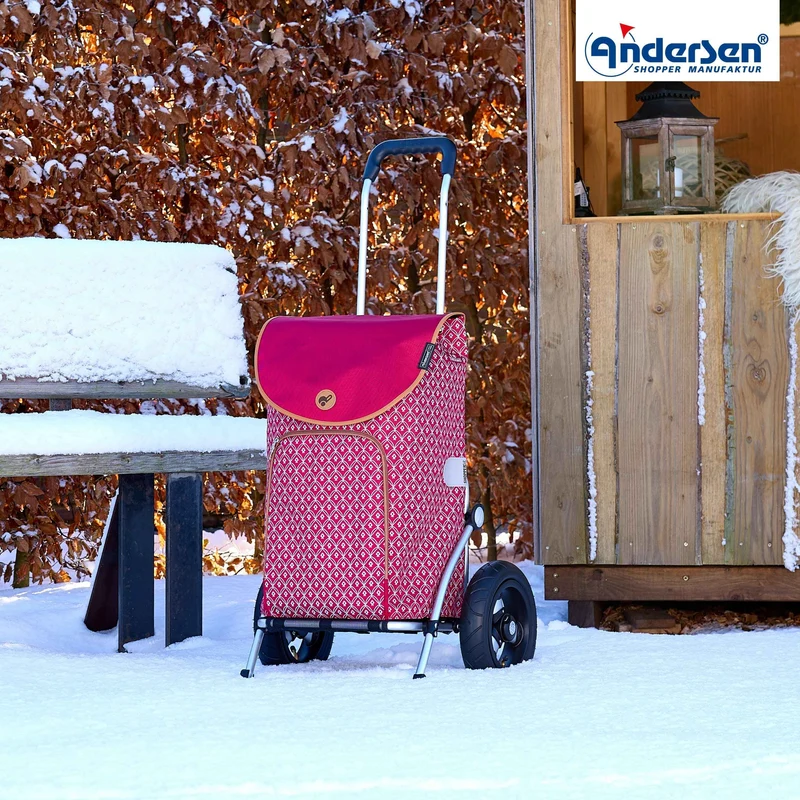 Royal Shopper Famke, Luft-Kugellagerrad 25 cm - Rot