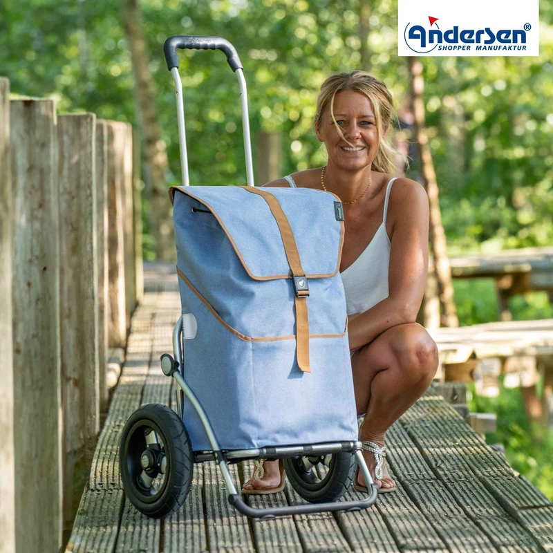 Royal Shopper Auke, Luft-Kugellagerrad 25 cm - Flieder