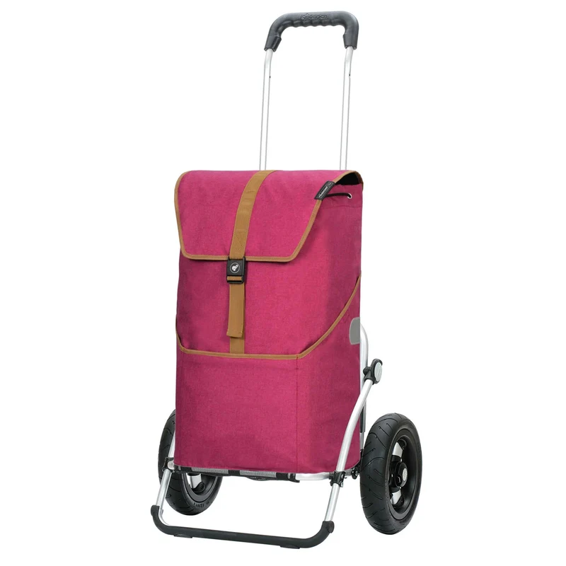 Royal Shopper Auke, Luft-Kugellagerrad 25 cm - Rubin