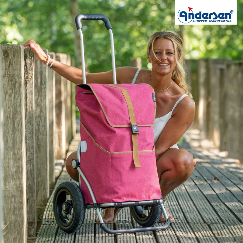 Royal Shopper Auke, Luft-Kugellagerrad 25 cm - Rubin