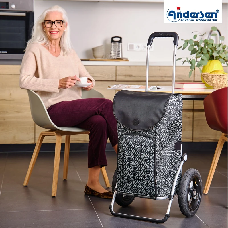 Royal Shopper Famke, Luft-Kugellagerrad 29 cm - Schwarz